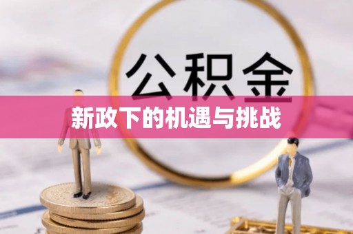 紫金新政下的机遇与挑战
