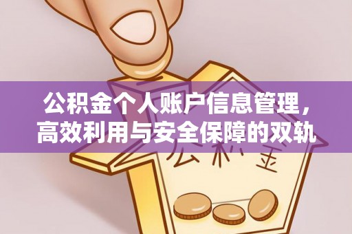 紫金公积金个人账户信息管理，高效利用与安全保障的双轨并行