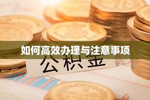 紫金如何高效办理与注意事项