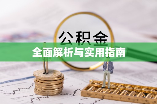 紫金全面解析与实用指南