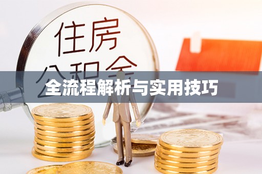 紫金全流程解析与实用技巧