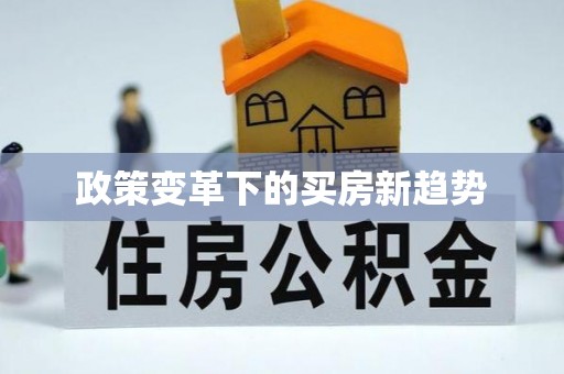 紫金政策变革下的买房新趋势