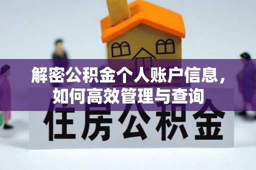 紫金解密公积金个人账户信息，如何高效管理与查询