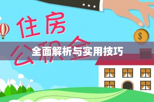 紫金全面解析与实用技巧