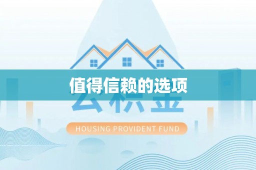 紫金值得信赖的选项