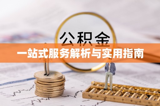 紫金一站式服务解析与实用指南