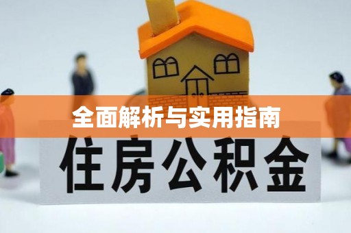 紫金全面解析与实用指南