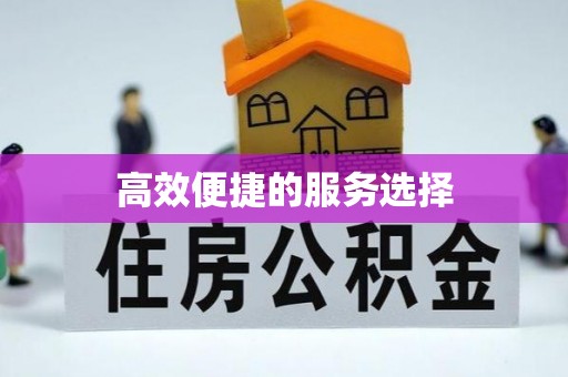紫金高效便捷的服务选择