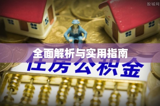 紫金全面解析与实用指南