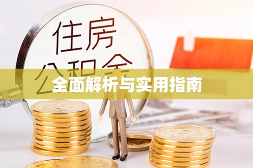 紫金全面解析与实用指南