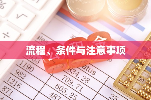 紫金流程、条件与注意事项